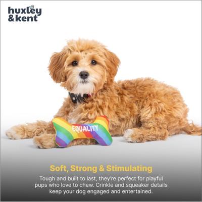 Show full view: Huxley & Kent Tiny Tuff Equality Bone Squeaky Plush Dog Toy, Rainbow slide 6 of 7