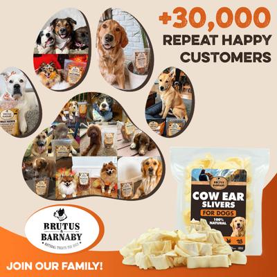 Show full view: Brutus & Barnaby Premium Grass-Fed Angus Cow Ear Slivers Natural Dog Chew Treats, 8.81-oz bag slide 6 of 6