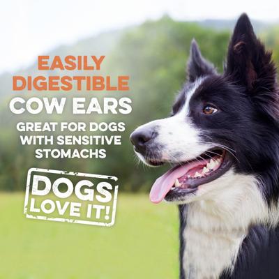 Show full view: Brutus & Barnaby Premium Grass-Fed Angus Cow Ear Slivers Natural Dog Chew Treats, 8.81-oz bag slide 4 of 6