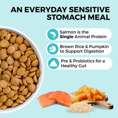 Show full view: KOHA Sensitive Stomach Limited Ingredient Bland Diet Salmon, Brown Rice & Pumpkin Dry Dog Food Food, 3.5-lb bag slide 3 of 9