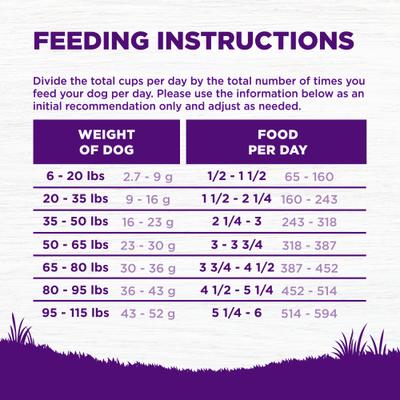 Show full view: Wellness Complete Health Sensitive Skin & Stomach Natural Adult Salmon & Rice Recipe Dry Dog Food, 38-lb bag slide 10 of 12