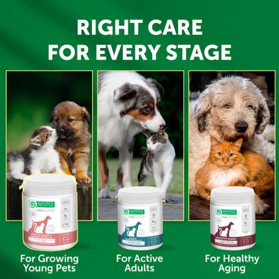 Show full view: Nature's Protection Healthy Growth Calcium Unflavored Powder Joint Supplement for Puppies & Kittens, 9-oz jar slide 8 of 10