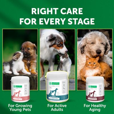 Show full view: Nature's Protection Adult Performance Calcium Unflavored Powder Joint Supplement for Dogs & Cats, 9-oz jar slide 8 of 10