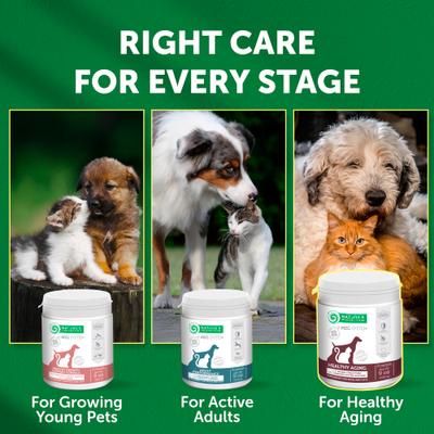 Show full view: Nature's Protection Healthy Aging Calcium Unflavored Powder Joint Supplement for Senior Dogs & Cats, 9-oz jar slide 8 of 10
