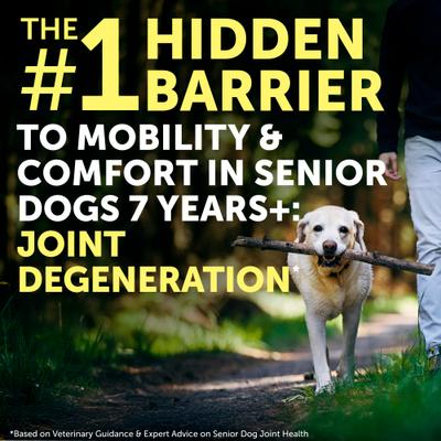 Show full view: Nature's Protection Healthy Aging Calcium Unflavored Powder Joint Supplement for Senior Dogs & Cats, 9-oz jar slide 3 of 10