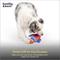 Show in main carousel: Huxley & Kent Rocket Man Squeaky Power Plush Dog Toy, Red/Blue/White, Large slide 7 of 7