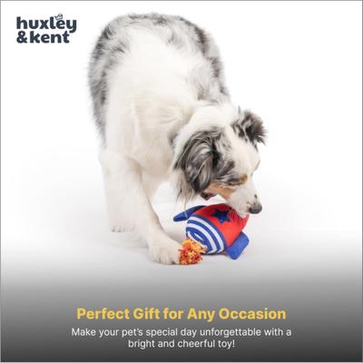Show full view: Huxley & Kent Rocket Man Squeaky Power Plush Dog Toy, Red/Blue/White, Large slide 7 of 7