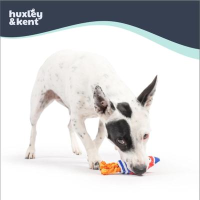 Show full view: Huxley & Kent Tiny Tuff Rocket Man Squeaky Plush Dog Toy, Red/White/Blue/Orange slide 6 of 8