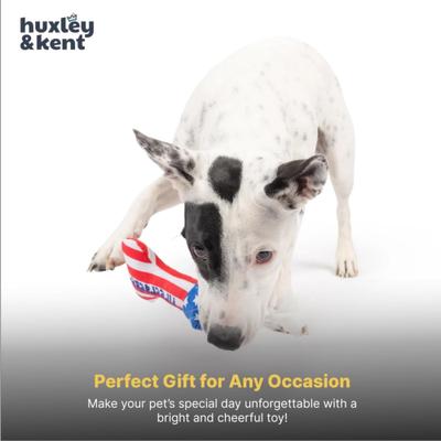 Show full view: Huxley & Kent Tiny Tuff Lil' Firecracker Bone Squeaky Plush Dog Toy, Red/White/Blue slide 8 of 8