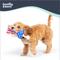Show in main carousel: Huxley & Kent Tiny Tuff Lil' Firecracker Bone Squeaky Plush Dog Toy, Red/White/Blue slide 6 of 8
