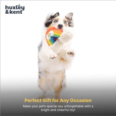Show full view: Huxley & Kent Happy Rainbow Squeaky Power Plush Dog Toy, Rainbow/White, Small slide 8 of 8