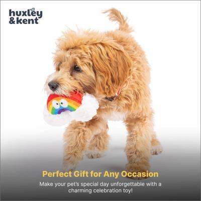Show full view: Huxley & Kent Tiny Tuff Happy Rainbow Squeaky Plusg Dog Toy, Rainbow/White slide 8 of 8