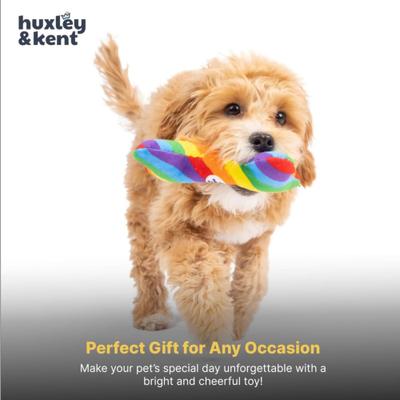 Show full view: Huxley & Kent Tiny Tuff Equality Bone Squeaky Plush Dog Toy, Rainbow slide 7 of 7