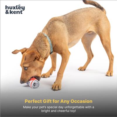 Show full view: Huxley & Kent Tiny Tuff Pups Belly Rubbin Squeaky Plush Dog Toy, White/Red/Blue slide 8 of 8