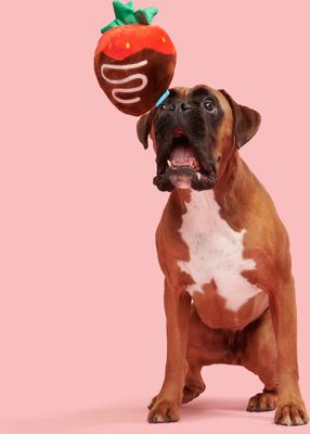 Show full view: BARK Barkbox Chocolate Slobber Strawberry Plush Dog Toy, Multicolor, Medium/Large slide 5 of 7