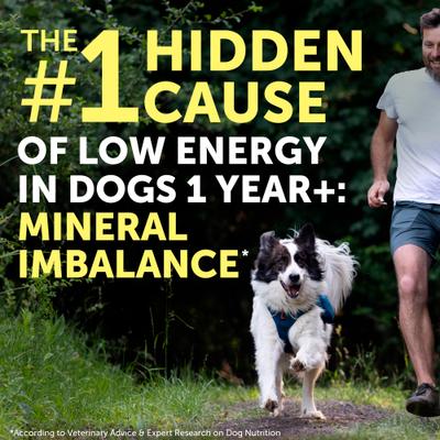 Show full view: Nature's Protection Adult Performance Calcium Unflavored Powder Joint Supplement for Dogs & Cats, 9-oz jar slide 3 of 10