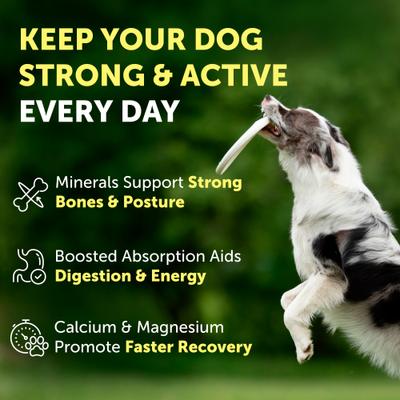 Show full view: Nature's Protection Adult Performance Calcium Unflavored Powder Joint Supplement for Dogs & Cats, 9-oz jar slide 4 of 10