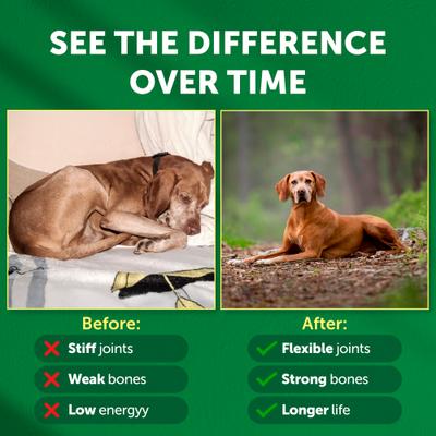 Show full view: Nature's Protection Healthy Aging Calcium Unflavored Powder Joint Supplement for Senior Dogs & Cats, 9-oz jar slide 9 of 10