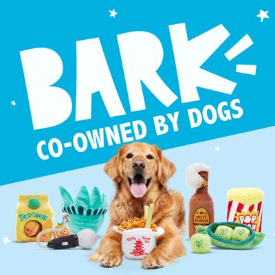 Show full view: BARK Barkbox Chocolate Slobber Strawberry Plush Dog Toy, Multicolor, Medium/Large slide 7 of 7