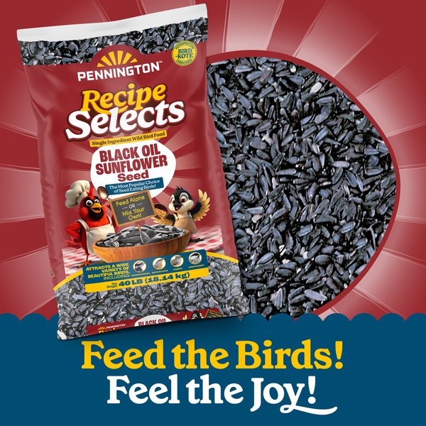 Show full view: Pennington Select Black Oil Sunflower Seed Wild Bird Food, 40-lb bag slide 6 of 12
