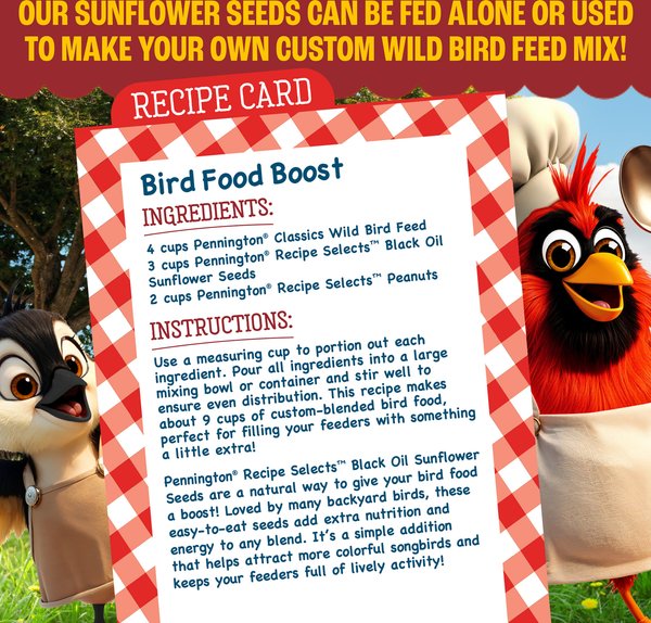 Show full view: Pennington Select Black Oil Sunflower Seed Wild Bird Food, 40-lb bag slide 5 of 12