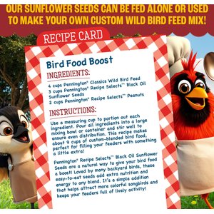 Pennington Select Black Oil Sunflower Seed Wild Bird Food, 40-lb bag