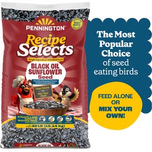 Pennington Select Black Oil Sunflower Seed Wild Bird Food, 40-lb bag
