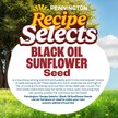 Show in main carousel: Pennington Select Black Oil Sunflower Seed Wild Bird Food, 40-lb bag slide 4 of 12