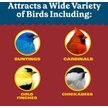 Show in main carousel: Pennington Select Black Oil Sunflower Seed Wild Bird Food, 40-lb bag slide 7 of 12