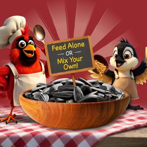 Pennington Select Black Oil Sunflower Seed Wild Bird Food, 40-lb bag