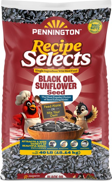 Show full view: Pennington Select Black Oil Sunflower Seed Wild Bird Food, 40-lb bag slide 1 of 12