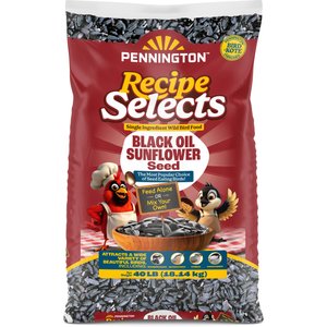 Pennington Select Black Oil Sunflower Seed Wild Bird Food, 40-lb bag