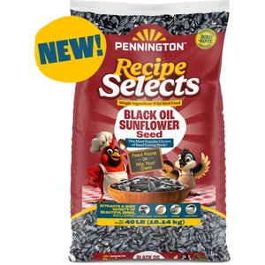 Pennington Select Black Oil Sunflower Seed Wild Bird Food, 40-lb bag