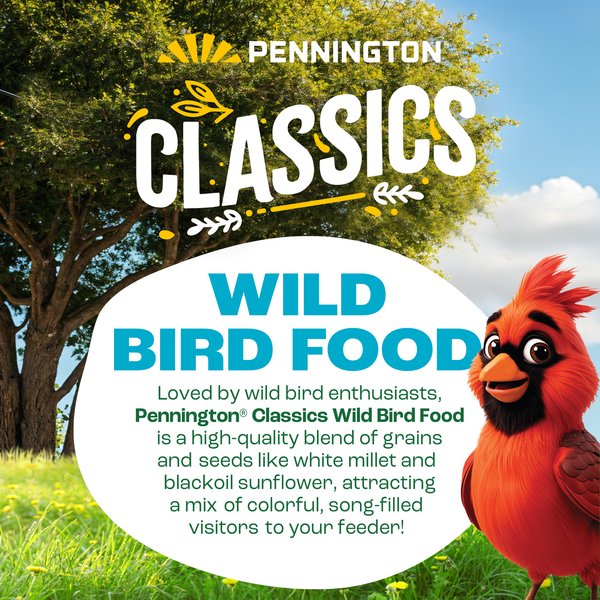 Show full view: Pennington Classic Wild Bird Food, 40-lb bag slide 7 of 12