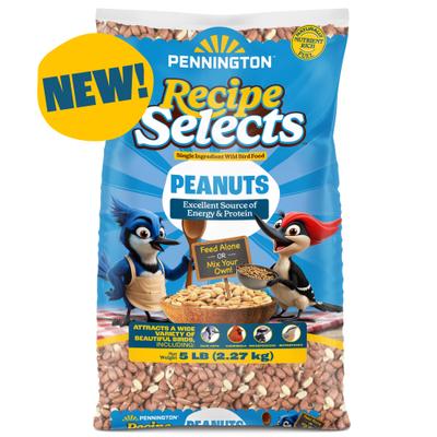 Show full view: Pennington Classic Shelled Peanuts Wild Bird Food Treats, 5-lb bag slide 9 of 10
