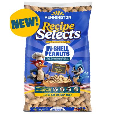 Show full view: Pennington Classic In Shell Peanuts Wild Bird Food Treats, 5-lb bag slide 9 of 11