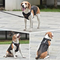 Pet Marvel Tactical No Pull Front Clip with Easy Control Handle & Molle Hoop & Loop Dog Harness, Black, X-Large: 26 to 42-in chest slide 2 of 7