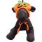 Show in main carousel: The Worthy Dog Jack-O-Lantern Dog Hat, Orange, Medium slide 3 of 3