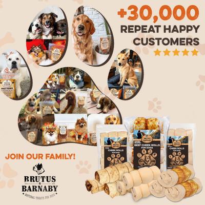 Show full view: Brutus & Barnaby 10 to 12-in High Protein & Rawhide-Free Thick Chicken Wrapped & Beef Cheek Rolls Natural Dog Chew Treats, 4 count slide 8 of 8