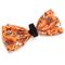 Show in main carousel: The Worthy Dog Howdyween Dog Bow Tie, Orange, Small slide 4 of 4