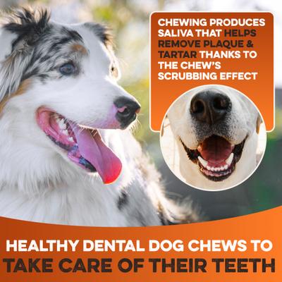 Show full view: Brutus & Barnaby 10 to 12-in High Protein & Rawhide-Free Thick Chicken Wrapped & Beef Cheek Rolls Natural Dog Chew Treats, 4 count slide 5 of 8