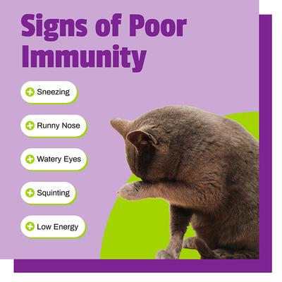 Show full view: Pet Naturals L-Lysine Immune & Respiratory Health Chicken-Flavored Chews Supplement for Cats, 160 count slide 3 of 11