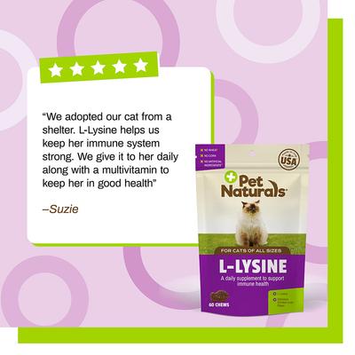 Show full view: Pet Naturals L-Lysine Immune & Respiratory Health Chicken-Flavored Chews Supplement for Cats, 160 count slide 6 of 11