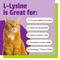 Show in main carousel: Pet Naturals L-Lysine Immune & Respiratory Health Chicken-Flavored Chews Supplement for Cats, 160 count slide 5 of 11