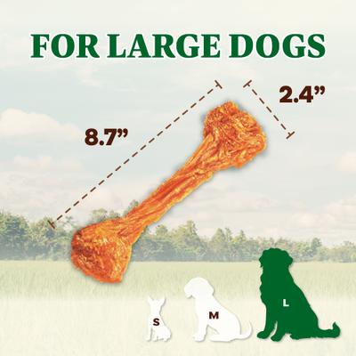 Show full view: AFreschi Natural Turkey Tendon Bone Natural Dog Chew Treat, 2 count slide 3 of 9