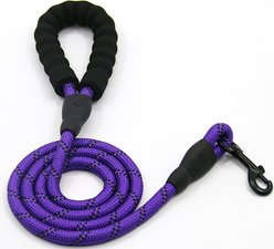 Doggy Tales Braided Rope Reflective Dog Leash, 15-ft long, Purple