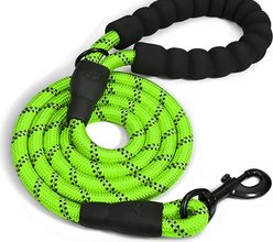 Doggy Tales Braided Rope Reflective Dog Leash, 15-ft long, Lime Green
