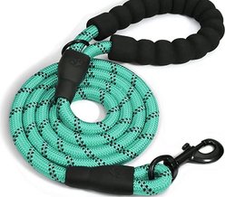 Doggy Tales Braided Rope Reflective Dog Leash, 15-ft long, Turquoise