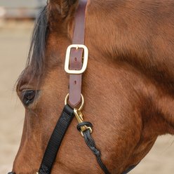 Weaver Equine Breakaway Horseman's Halter, Black, Average slide 2 of 8