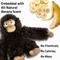 Show in main carousel: Playology Banana Scented Monkey Plush Squeaky Dog Toy slide 4 of 6